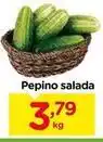 Carrefour Salada - pepino oferta