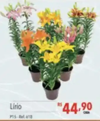 Supermercados Condor Lírio oferta