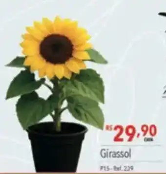 Supermercados Condor Girassol oferta