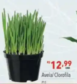 Supermercados Condor Aveia/ Clorofila oferta