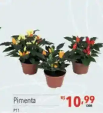 Supermercados Condor Pimenta oferta