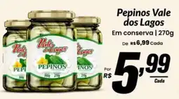 Stok Center Pepinos vale dos lagos oferta