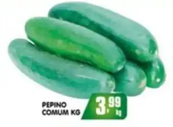Higa's Supermercado Pepino comum kg oferta
