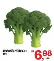 Fort Atacadista Ninja - brócolis ninja sat. un oferta