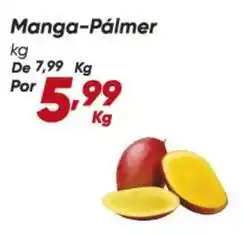 Dia De - manga-palmer oferta