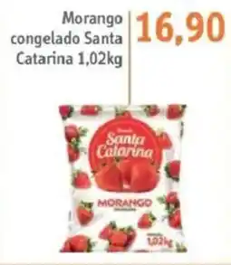 Sonda Morango congelado Santa Catarina oferta