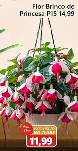São Judas Tadeu flor brinco de princesa p15 oferta