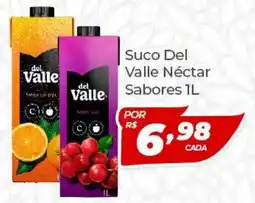 X Supermercados Suco Del Valle Néctar Sabores oferta