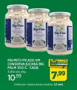 Cooper Palmito picado em conserva juçara big palm oferta