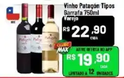 Max Atacadista Vinho Patagón Tipos oferta