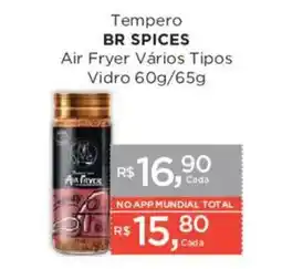 Supermercados Mundial Tempero br spices air fryer vários tipos vidro oferta