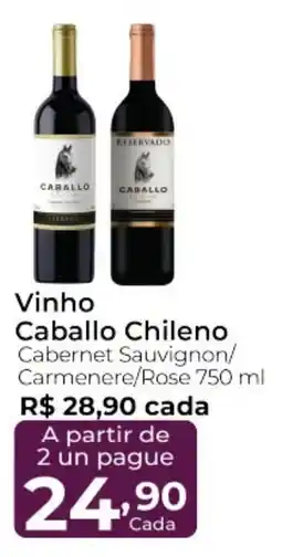Super Kan Vinho Caballo Chileno oferta
