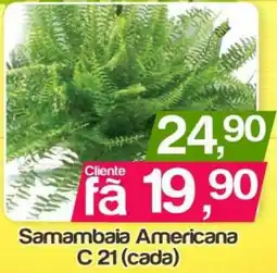Supermercados Gricki Samambaia Americana oferta