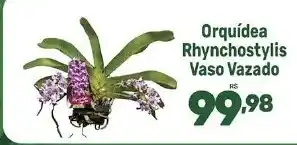 Supermercados Jau Serve Orquídea Rhynchostylis Vaso Vazado oferta