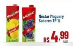 Max Atacadista Néctar Maguary Sabores oferta