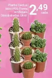 X Supermercados Planta Cactus Mini P05 Flores Artificiais Desidratadas oferta