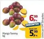 Tenda Atacado Tommy - manga oferta