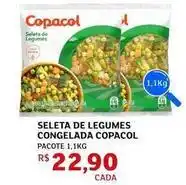 Assaí Atacadista Copacol - seleta de legumes congelada oferta