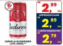 Roldão Cerveja budweiser oferta