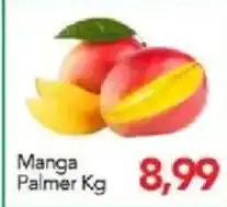 Supermercados Joanin Manga palmer kg oferta