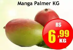 Supermercado Kibe Manga palmer kg oferta