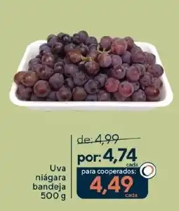 Coop Uva niágara bandeja oferta