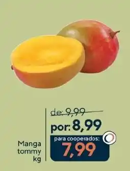 Coop Manga tommy oferta