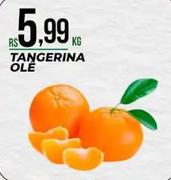 Supermercado Precito Tangerina ole oferta
