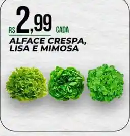 Supermercado Precito Alface crespa, lisa e mimosa oferta