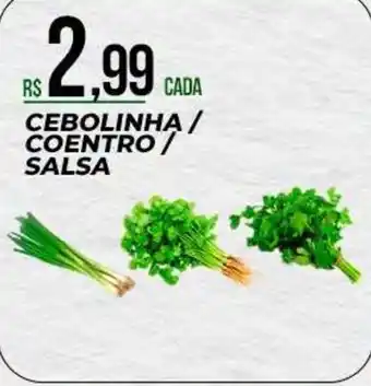 Supermercado Precito cebolinha / coentro / salsa oferta
