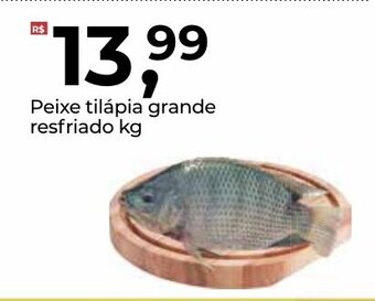Frangolândia Peixe tilapia grande resfriado 1kg oferta