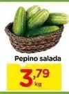 Carrefour Pepino salada oferta
