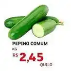 Assaí Atacadista Pepino comum oferta