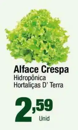 Santo Supermercados Alface Crespa Hidropônica Hortaliças D' Terra oferta