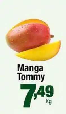 Santo Supermercados Manga Tommy oferta