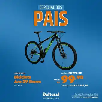 Bicicleta Aro 29 Storm