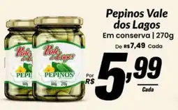 Stok Center Pepinos vale dos lagos oferta