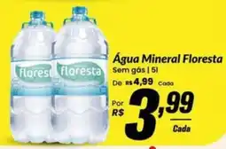 Stok Center Água Mineral Floresta oferta