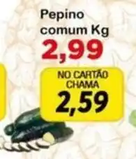 Chama Supermercados Pepino comum oferta