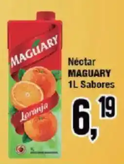 Redeconomia Néctar maguary 1l sabores oferta