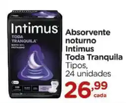 Carrefour Absorvente noturno Intimus Toda Tranquila Tipos oferta