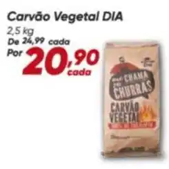 Dia Dia - carvão vegetal oferta