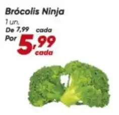 Dia Ninja - brócolis ninja oferta