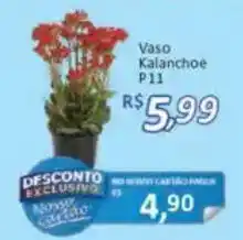 Supermercados Savegnago Vaso Kalanchoe P11 oferta
