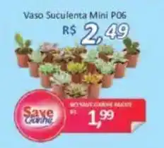 Supermercados Savegnago Vaso Suculenta Mini P06 oferta