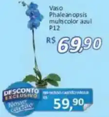 Supermercados Savegnago Vaso Phaleanopsis multicolor azul oferta