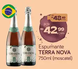 Cometa Supermercados Espumante terra nova oferta