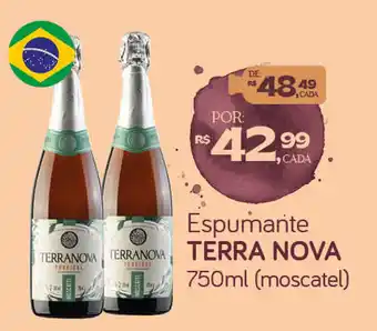 Cometa Supermercados Espumante terra nova oferta