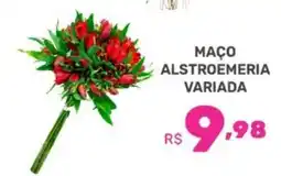Supermercados Jau Serve Maço alstroemeria variada oferta