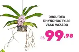 Supermercados Jau Serve Orquídea rhynchostylis vaso vazado oferta